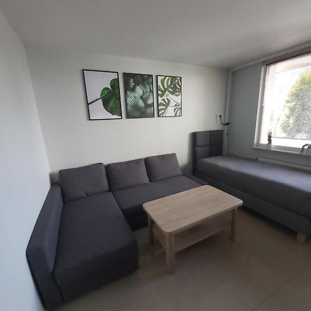 Apartament Z Ogrodem Tychy Buitenkant foto