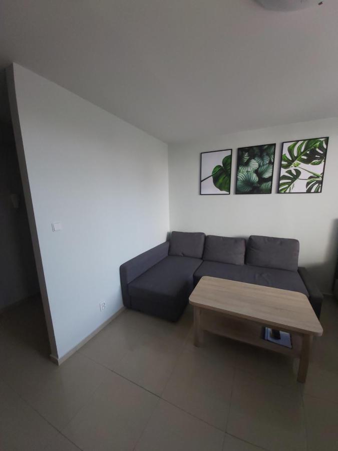 Apartament Z Ogrodem Tychy Buitenkant foto